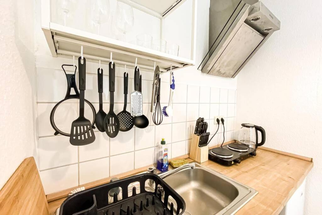 Apartment Am Auensee Mit Grosser Terrasse & Privat-Parkplatz Leipzig Eksteriør billede