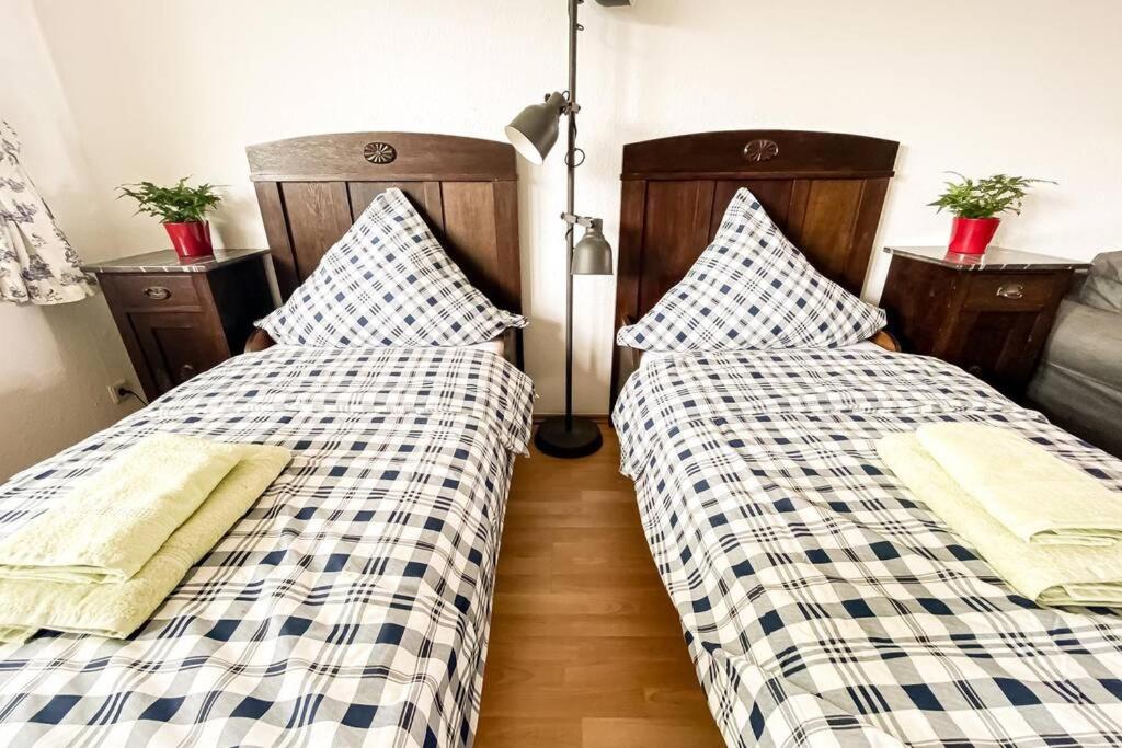 Apartment Am Auensee Mit Grosser Terrasse & Privat-Parkplatz Leipzig Eksteriør billede