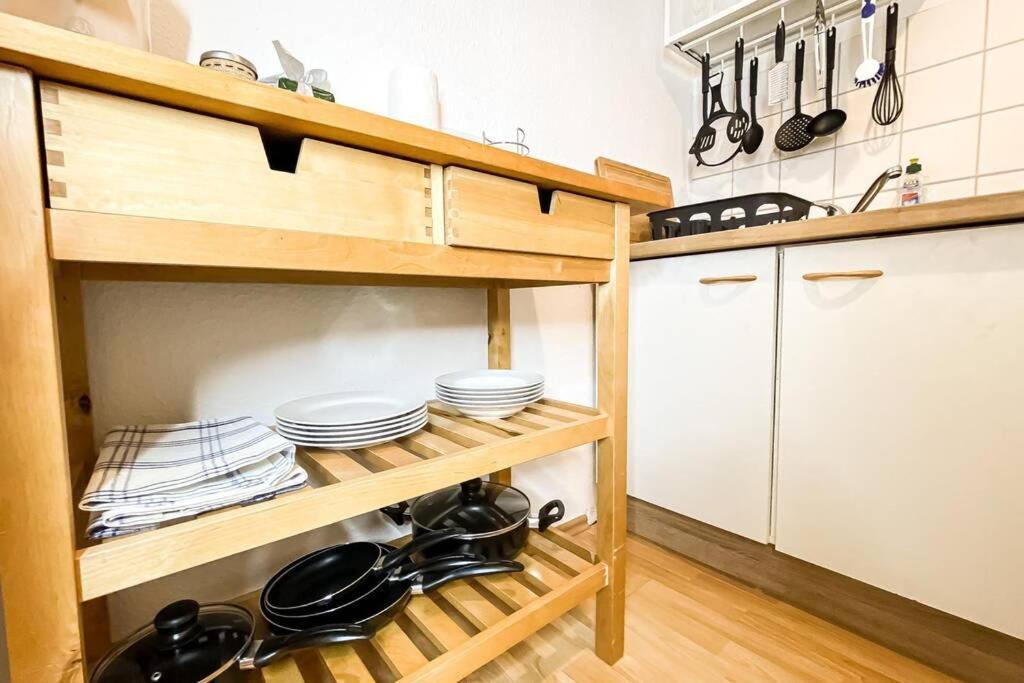 Apartment Am Auensee Mit Grosser Terrasse & Privat-Parkplatz Leipzig Eksteriør billede